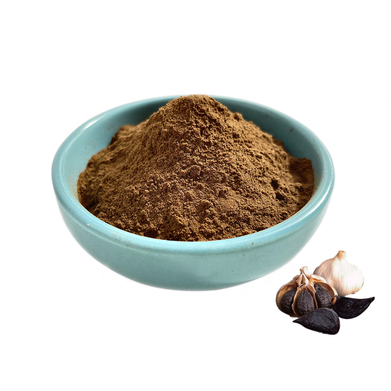 black garlic powder
