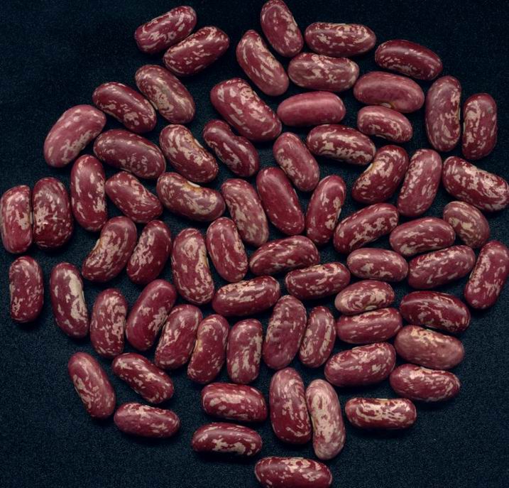 BEANS
