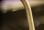 10847315_10154820442120276_5151061747250601609_o_banner.jpg
