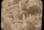 10861126_10154820441960276_7516787514360590952_o.jpg